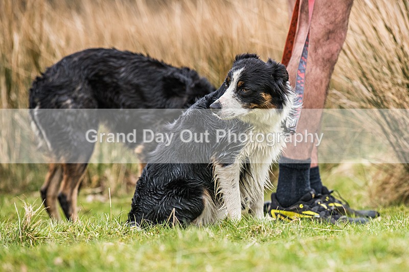 Buttermere-1459 - Fellside Events Buttermere Trail Race Sunday 22nd March 2026