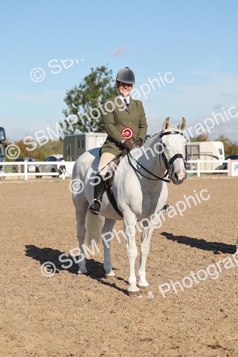 SBM_12242 - Class 303 - Ridden Pure Bred Horse Pony