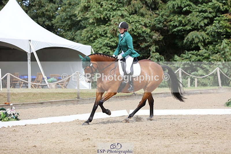 250718A-153101-02592 - 152-Tracy.OKennedy-Wylye.Harlequin