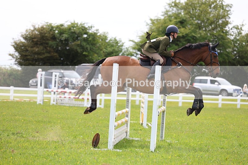 3E7A1615 - Class 13: Senior British Novice/90cm open