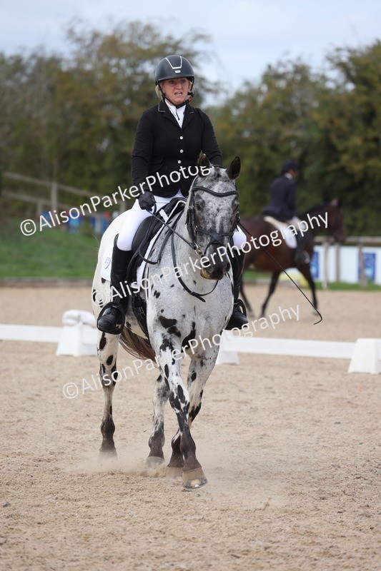 20261010-0715 - Class 6 - Novice 2