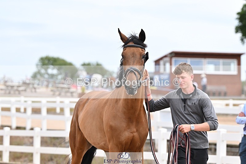 250716-151610-01836 - Trot Up 2.30 to 3.30