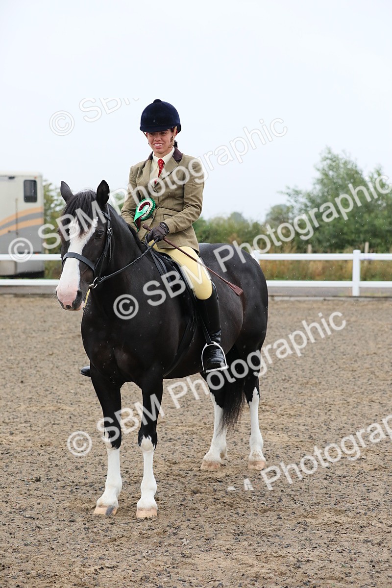 SBM_19980 - Class 801 - Ridden Veteran
