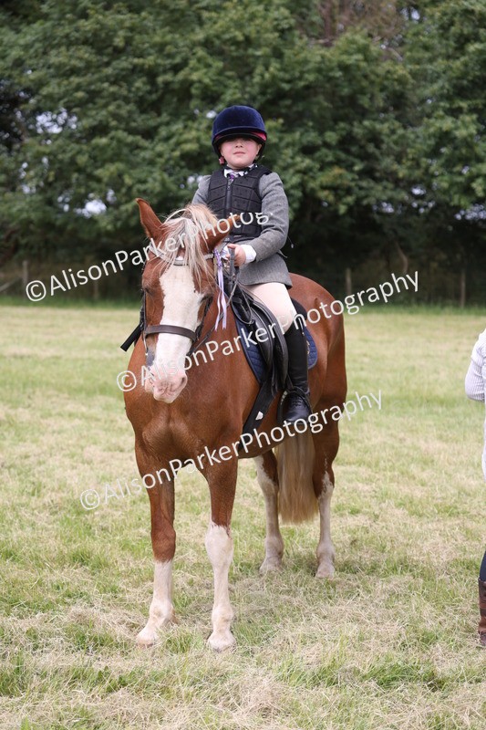 20260614-3212 - Class 22 - Open Working Hunter