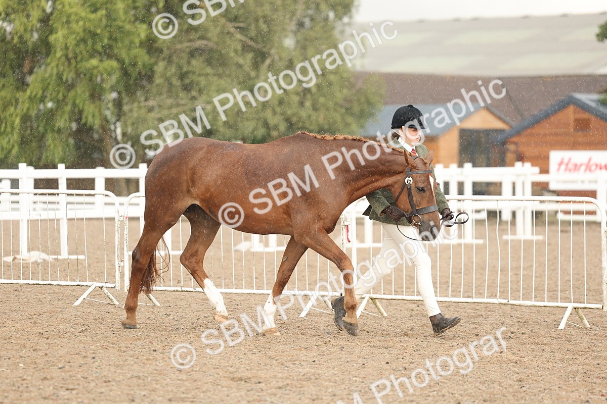 SBM_07748 - Class 27 - IH Competition Horse/Pony