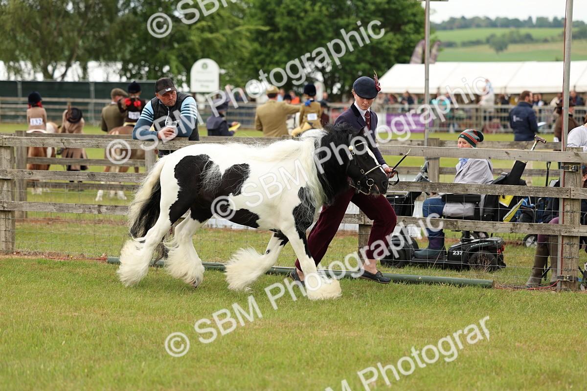 SBM_06271 - Class 39-41 TGCA In Hand and Ridden