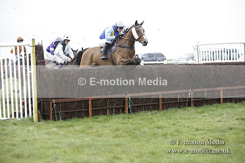 PtP 150320 0295 - New Forest Point-to-Point Larkhill 15/03/20