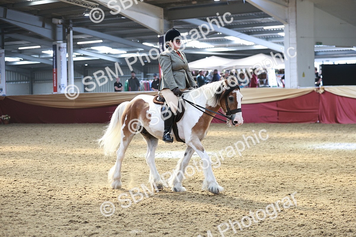SBM_07101 - Class 10R - Regional Ridden Diamond