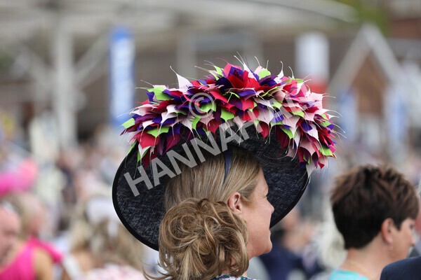 yr18082022r2-18 - Race 2 2.25pm Goffs UK Harry Beeby Premier Yearling Stakes