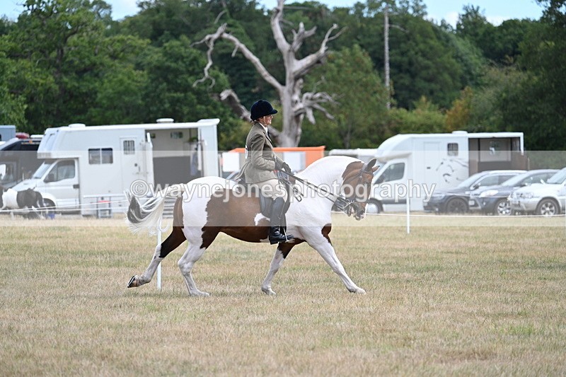 WJ7_5608 - Class 12 Ridden Cob