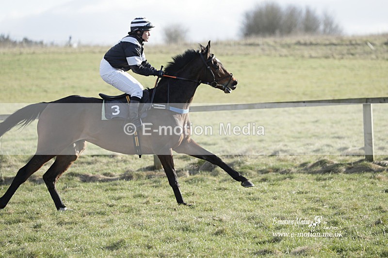 PtP 260223 1133 - South & West Wilts Point-to-Point Larkhill 26/02/23