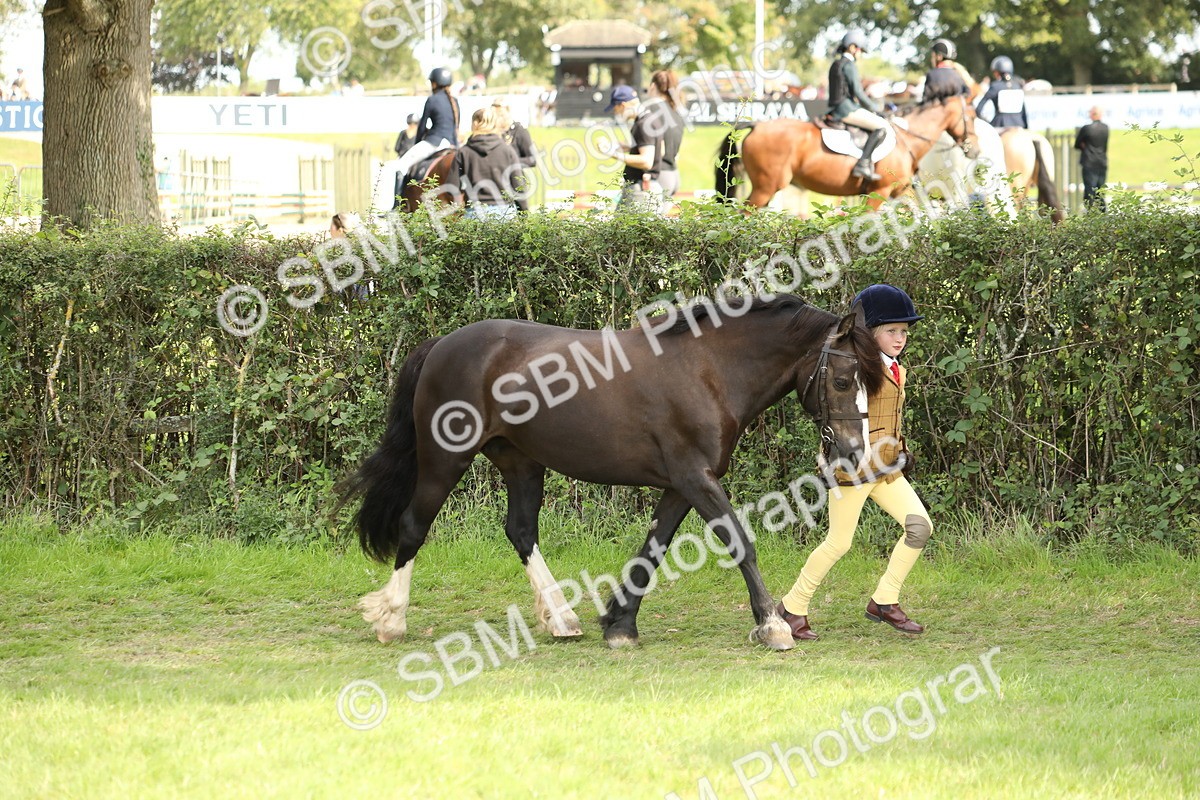SBM_67742 - S39 - Junior Handler 8  Years & Under