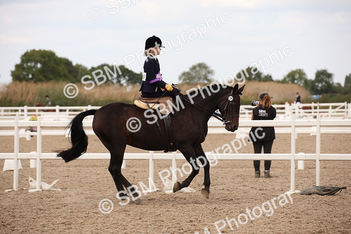 SBM_05532 - Class 22 SSA Equitation