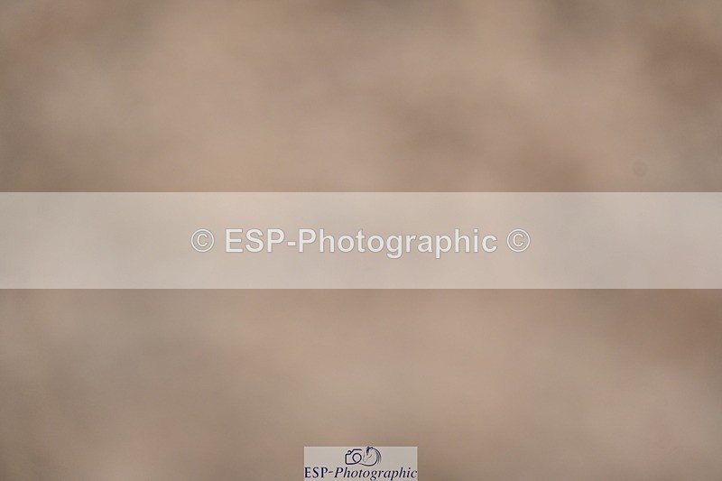 240323A-125241-02945 - DR Novice 34