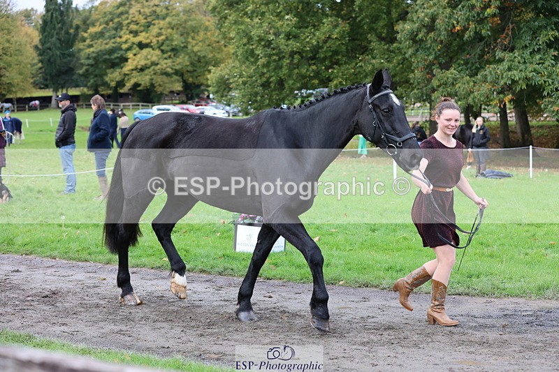 251026A-104235-23205 - F-413-Lucy.Jowett