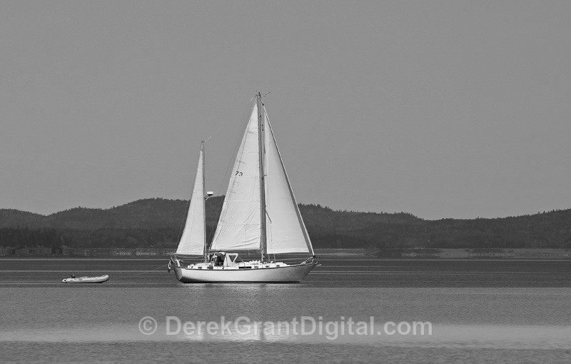 Sailing the Bay of Fundy - Boats