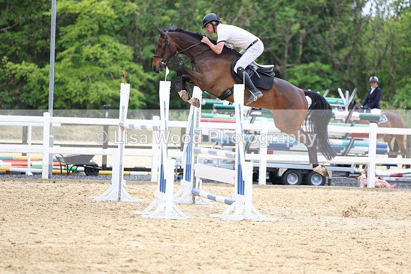 3E7A7456 - Class 8: Senior Foxhunter/1.20 open