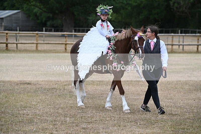 WJ6_8596 - Class 11 Fancy Dress