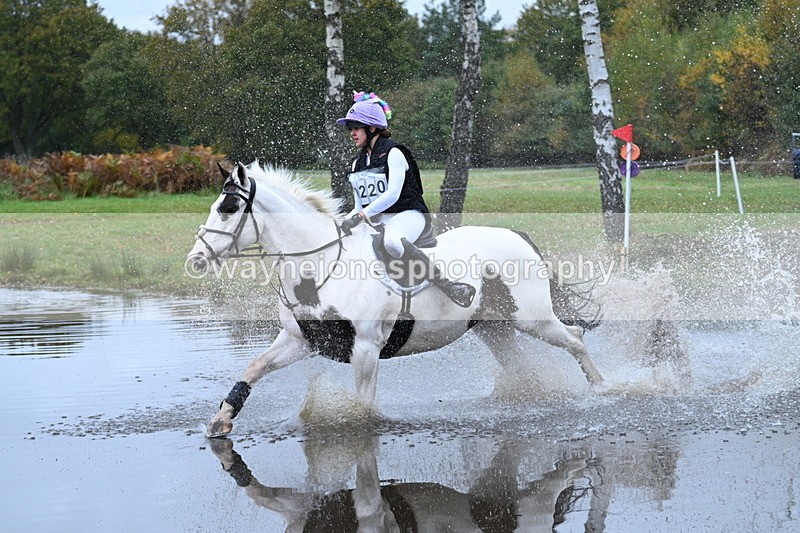 WJ7_2938 - 90cm Cam 2 Water Time 13:29 to 13:47