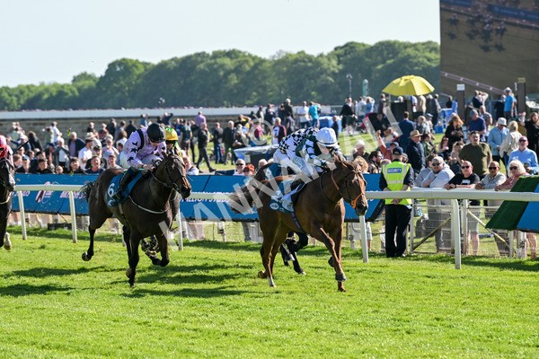 140525-Race 6-Ballistic Missile-2854 - Race 6 4.55pm British Stallion Studs EBF Novice Stakes