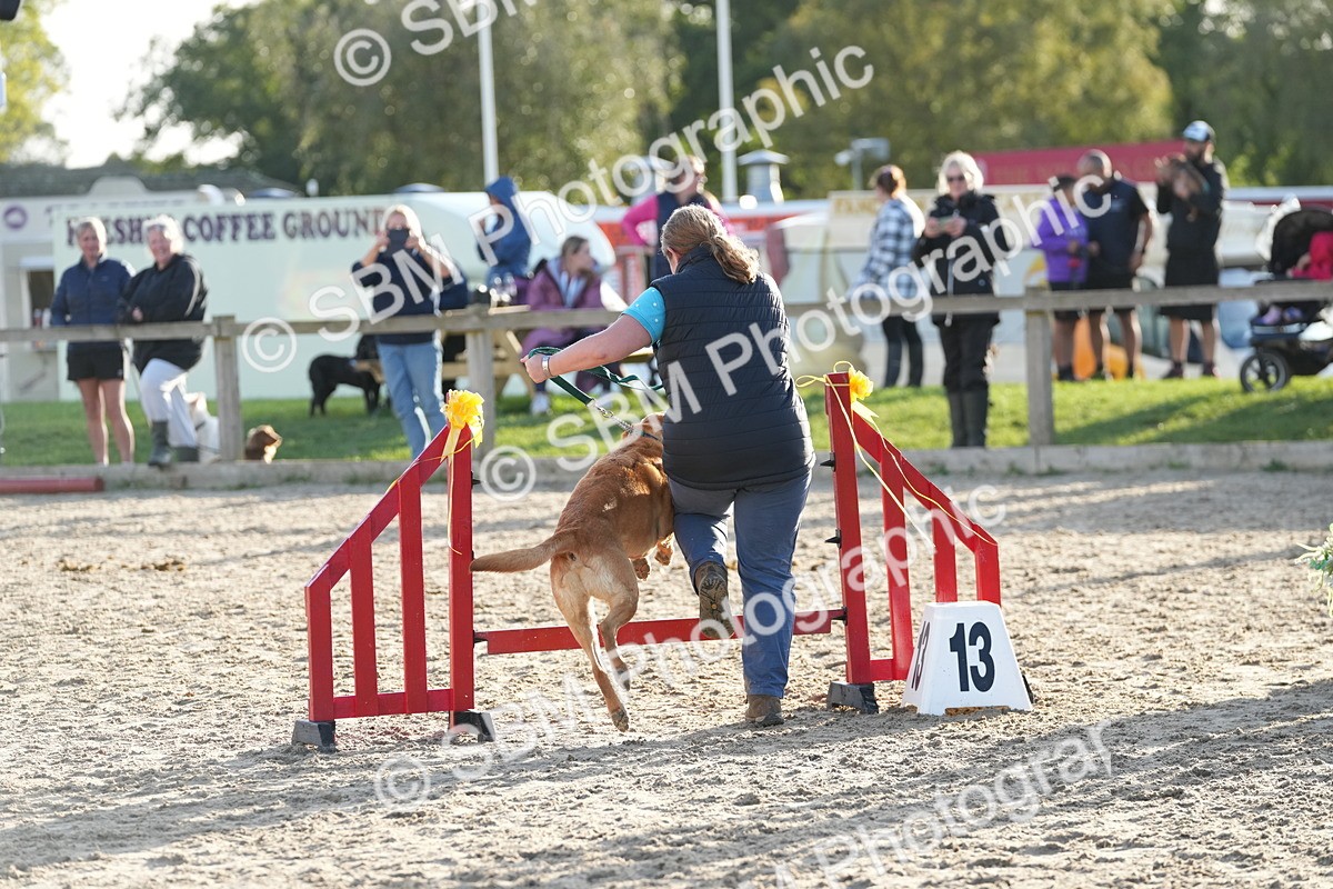 SBM_29398 - J44 - Horse & Hound Open 70cm