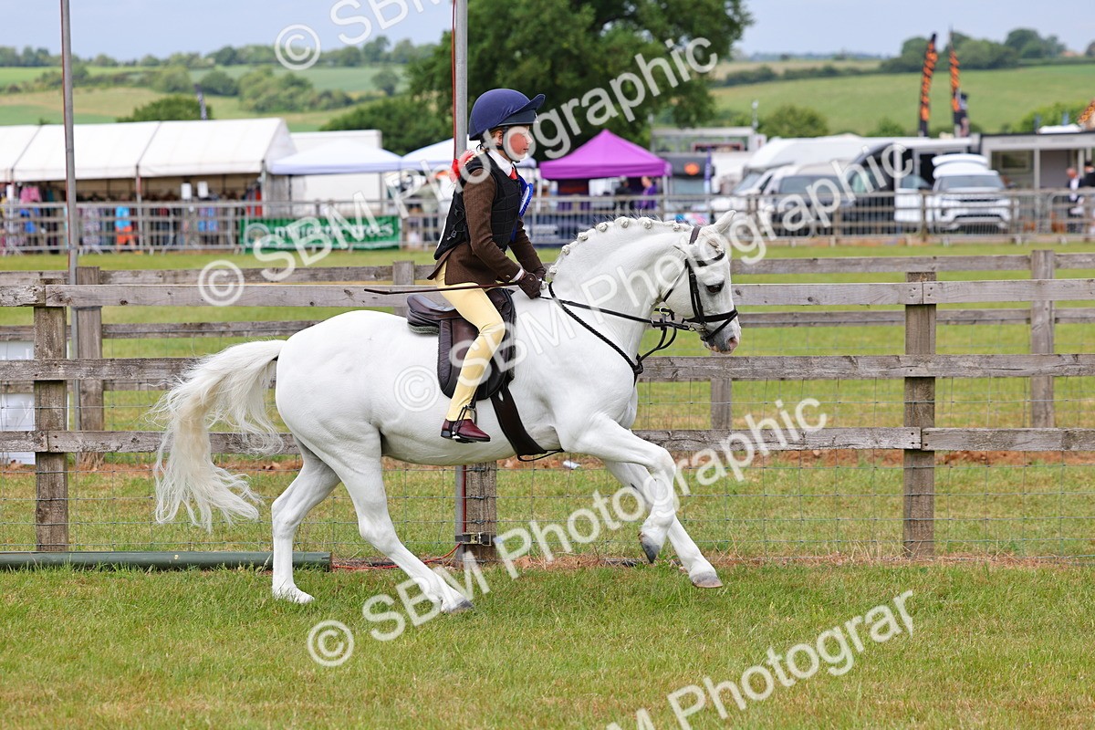 SBM_09687 - Class 44-45 - LIHS BSPS Open Nursery and Cradle Stakes
