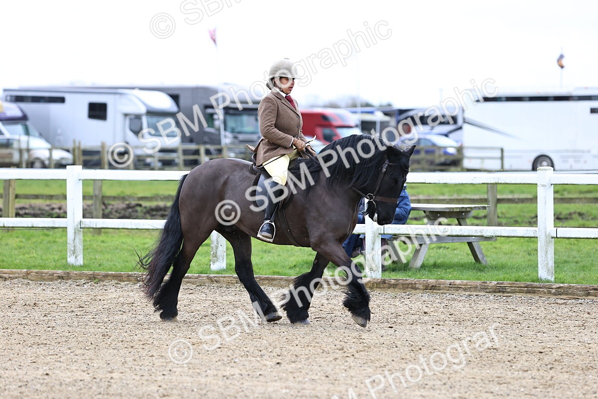 SBM_006990 - Class 29 - 30 - M&M Pure Novice Small-Large Breeds