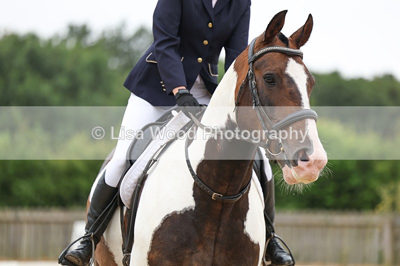 3E7A7956 - Class 1: Intro 3 2024 section A