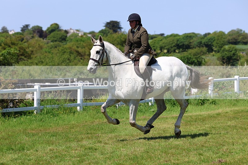 3E7A8103 - Working Hunter Championship