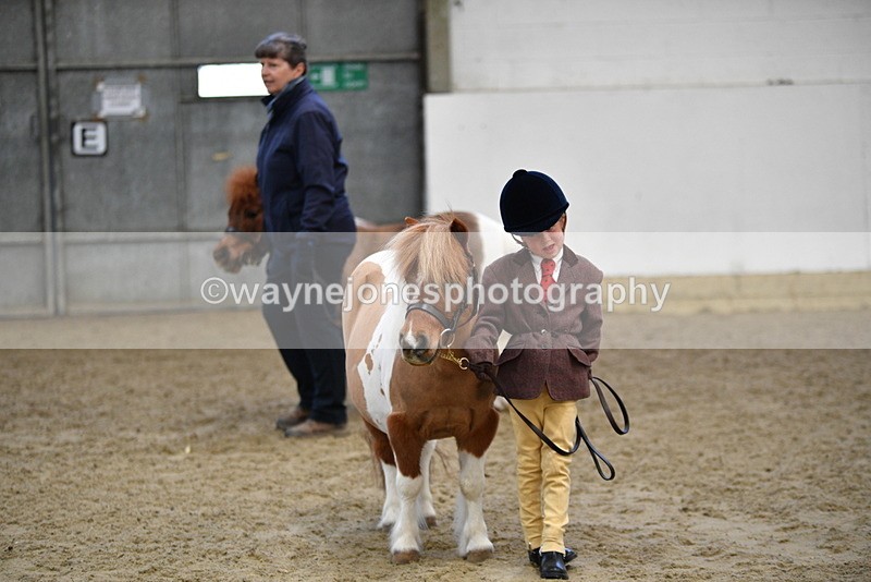 WJ5_5099 - Class 7 In hand coloured / odd coloured