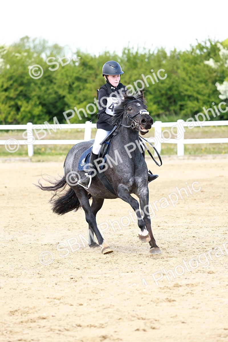 SBM_007841 - Class 3 - 60cm