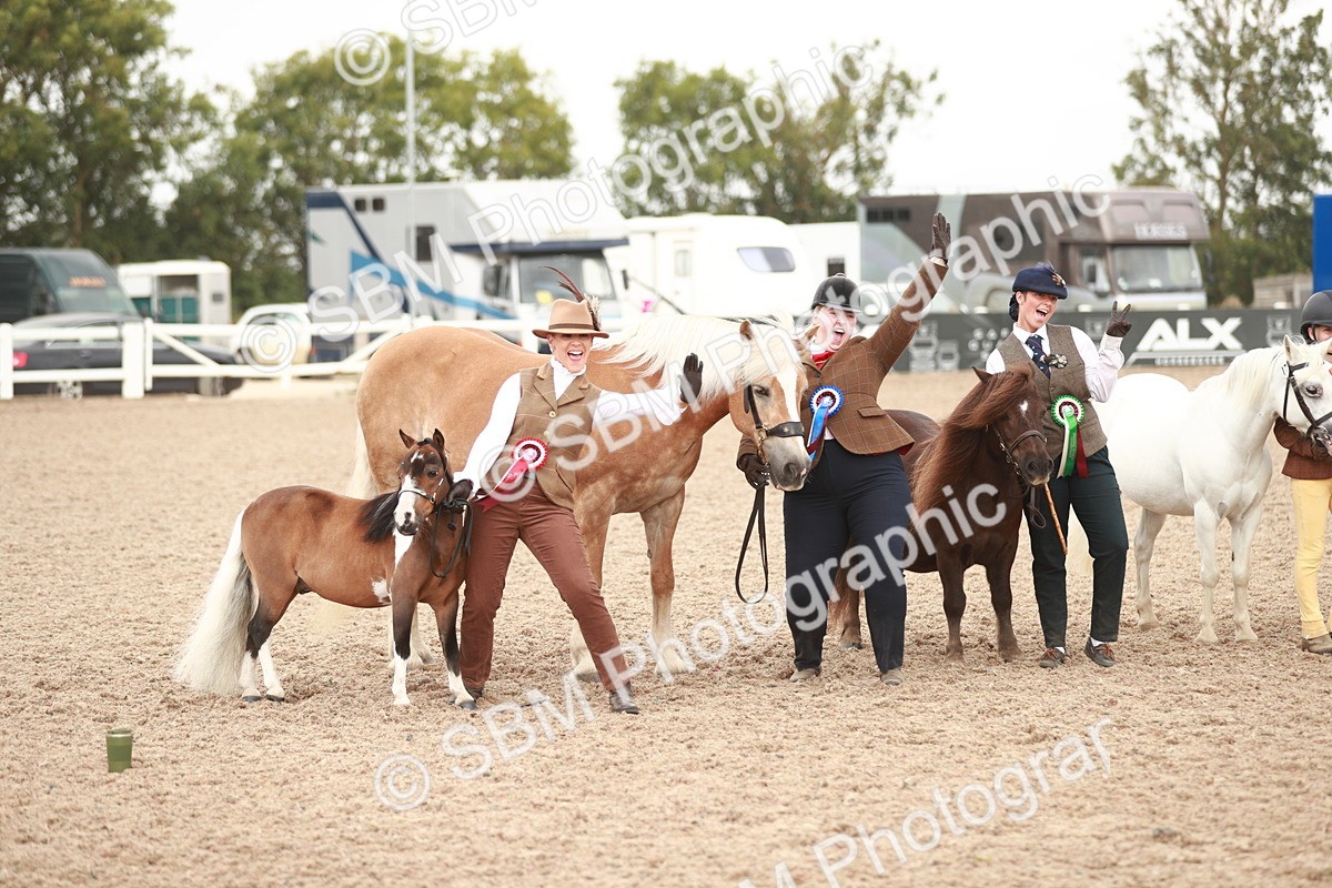 SBM_11938 - Class 206 IH Non Show Type Pony