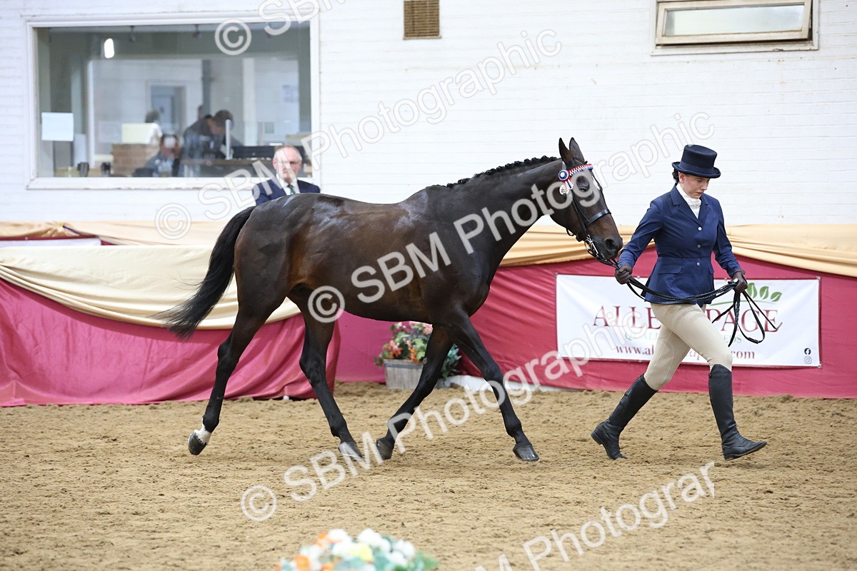 SBM_23637 - Class 904 - Supreme Final - Ridden Diamond