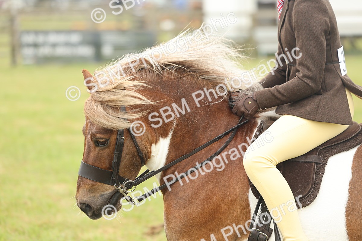 SBM_08897 - Class 78-80 - Ridden M&M Non Welsh Ponies