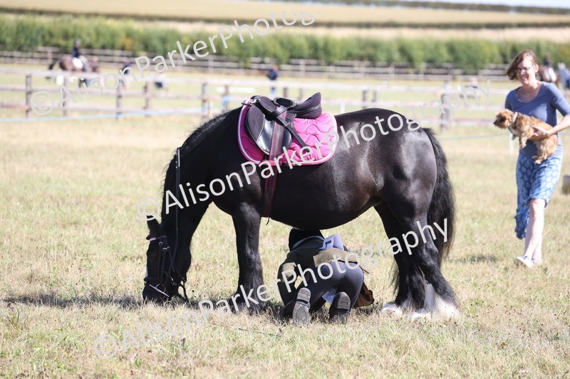 20260906-2180 - Class 16 - Family Pony