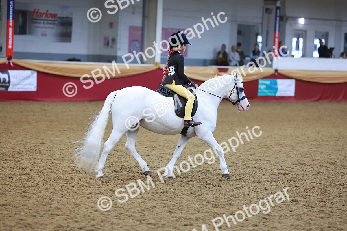 SBM_10699 - Class 103 - HOYS Veteran Qualifier - Ridden Pre Vet