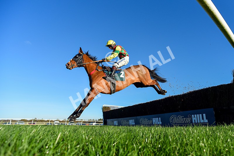 221124-Race 4-Duke Of Luckley-2765 - Race 4