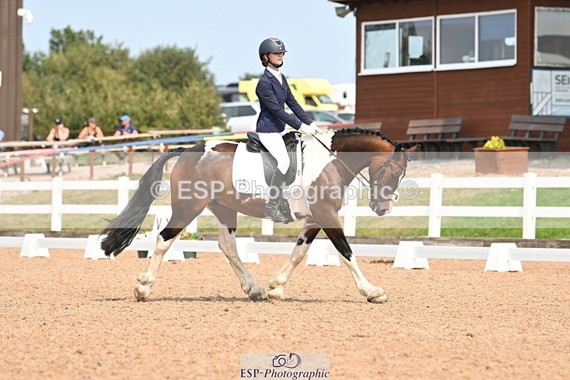 250816-140558-05006 - 050-Mollie.SheathTouch.Wood