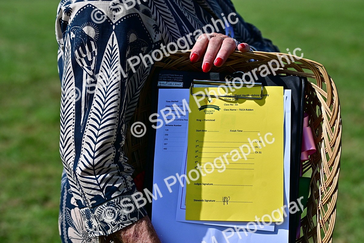 SBM_09301 - Class 63-65 - Traditional Gypsy Cobs In Hand & Ridden