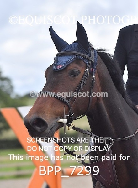 BPP_7299 - CLASS 5 Senior Foxhunter/ 1.20m Open