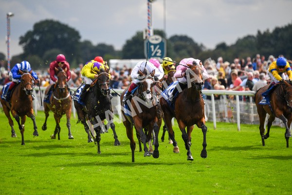 240823-Race 4-Warm Heart-0520 - Race 4 3.35pm Pertemps Network Yorkshire Oaks