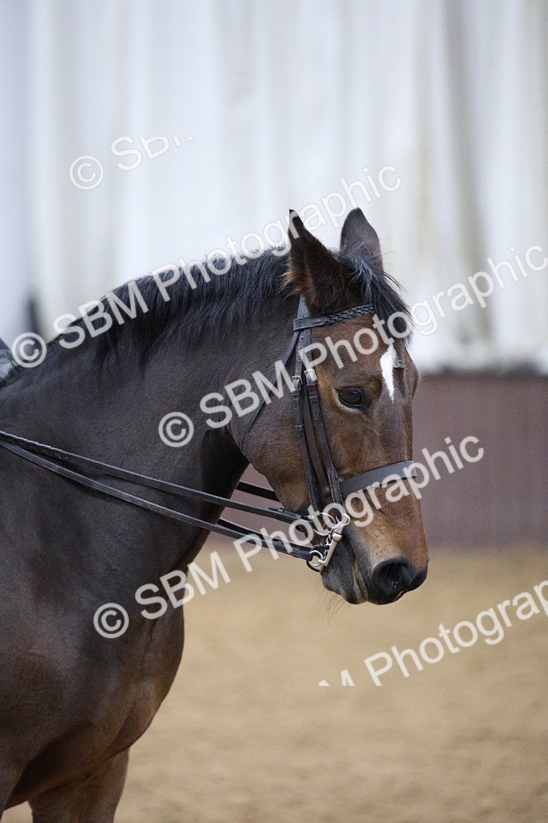 5K7A6088 - Class 48 - Ridden Mare
