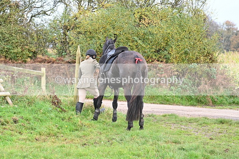 WJ7_0452 - Camera 1 & Last fence