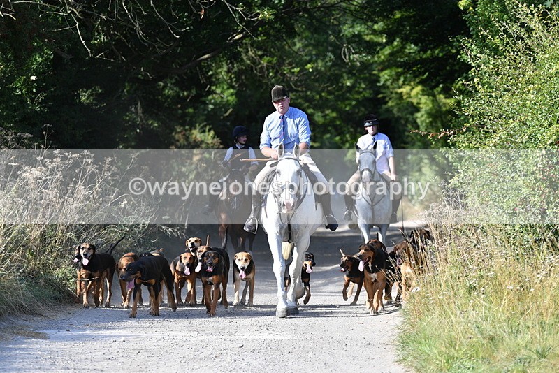 WJ5_4781 - Walk out with the hounds