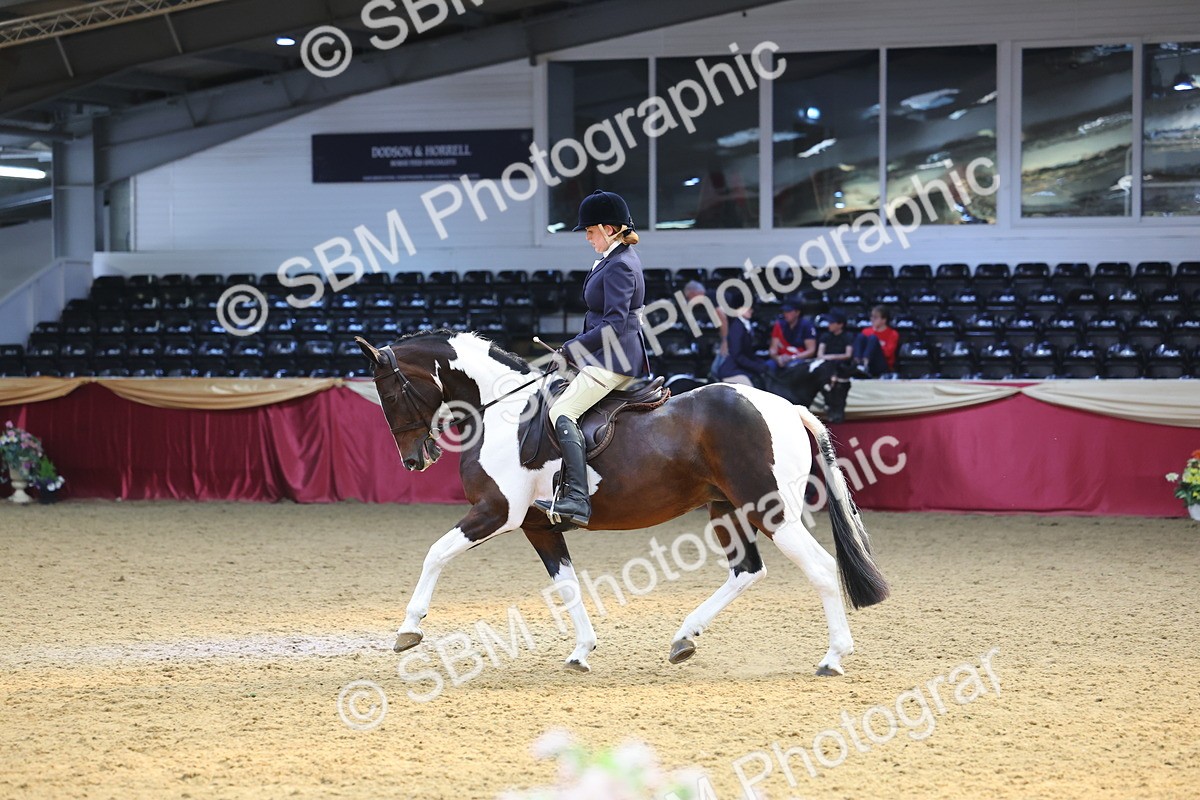 SBM_24560 - Class 906 - Supreme Final - Ridden Pre Vet