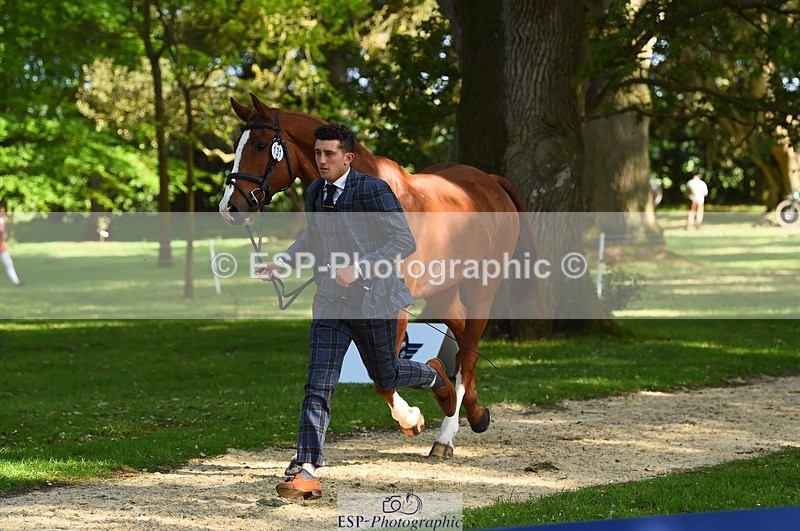 230524-170328-01259 - 131-FORTSIDE_COBRA-Freddie_Carden-WEDTrotUp+DR