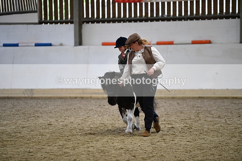 WJ5_6673 - Class 10 Childs Pony