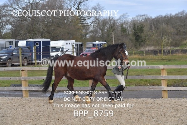 BPP_8759 - RING 2 - M&M