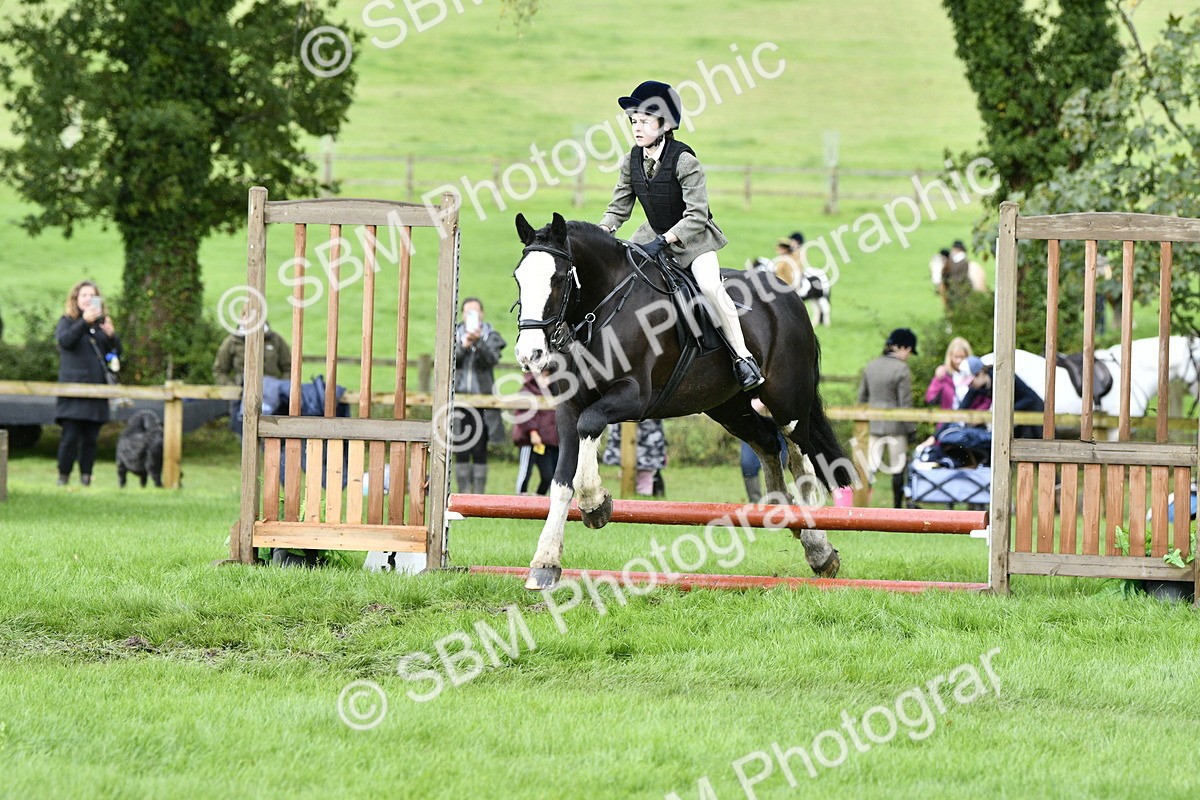 SBM_41491 - S32 - Mountain & Moorland Working Hunter Pony