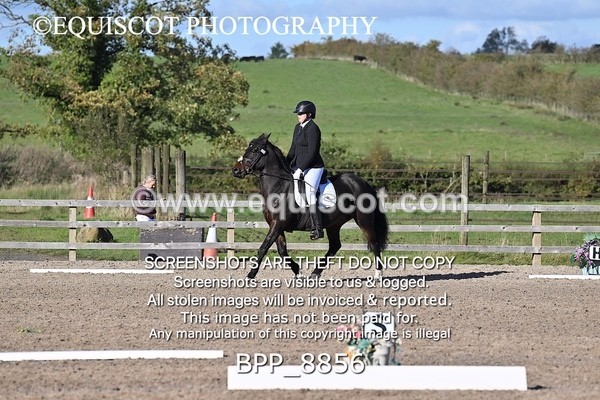 BPP_8856 - SHORT ARENA
